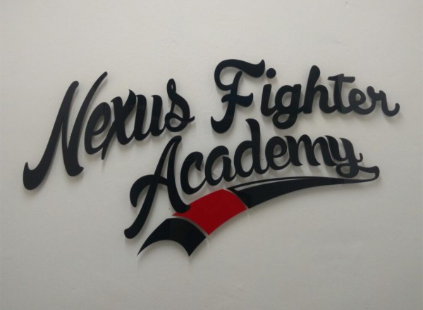 3D Acryl Logo NFA (8mm durchgefärbt) mit Abstandshaltern auf Wand